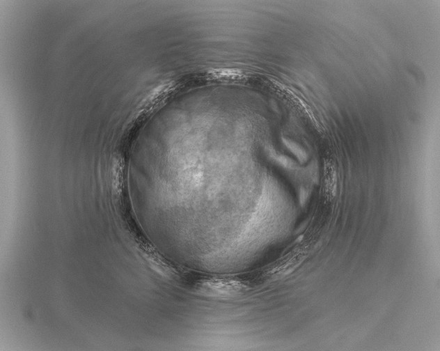 X0000116280712200912141349