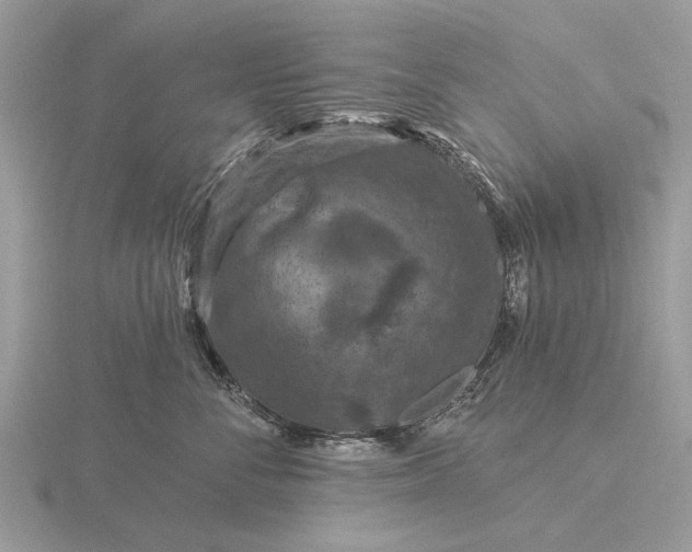 X0000116280716200912141348