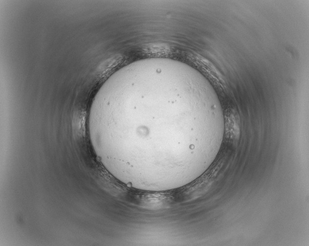 X0000116280717200912141348