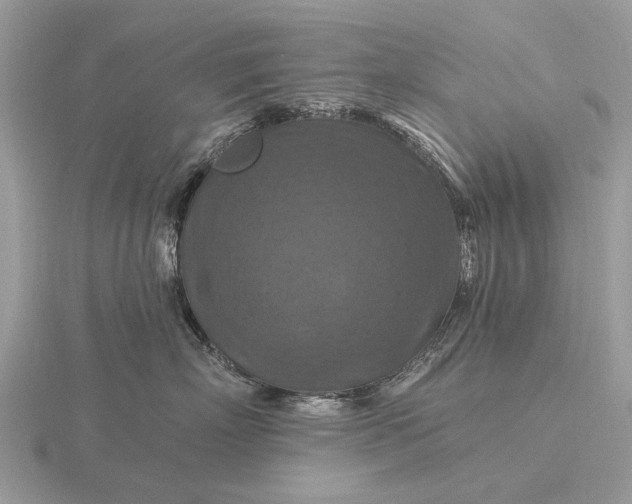 X0000116280718200912141348