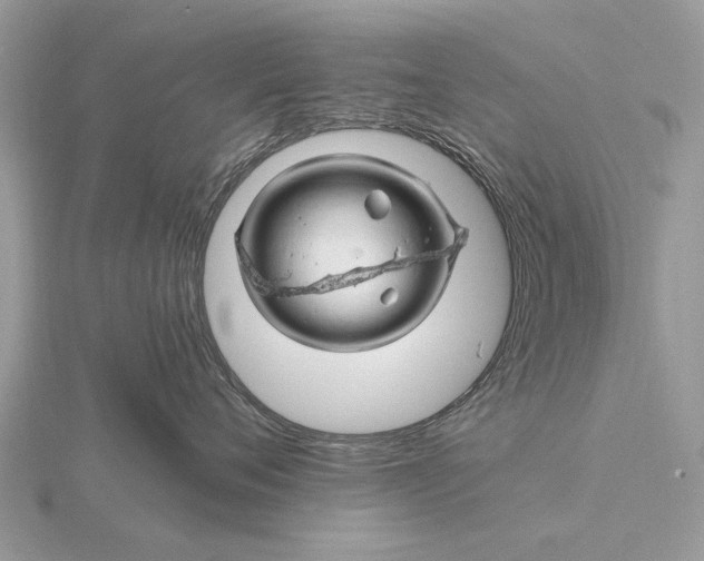 X0000116280720200912141348