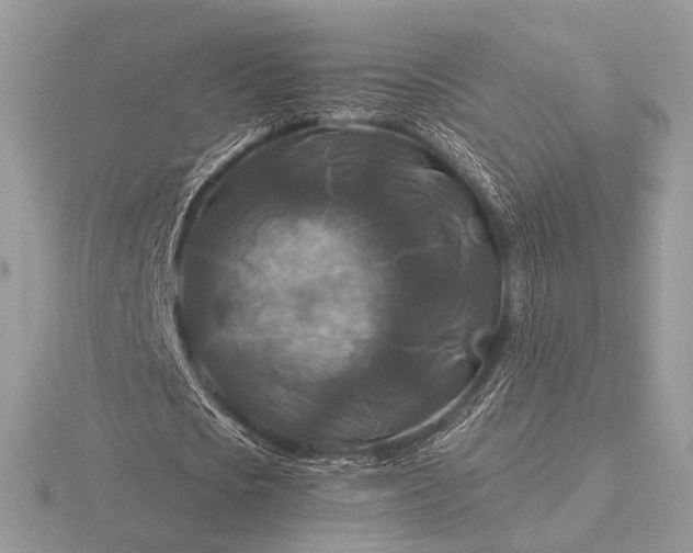 X0000116280721200912141348