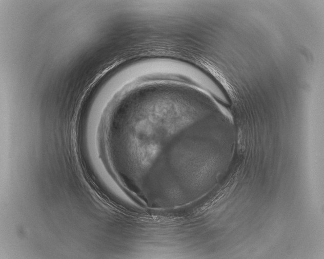 X0000116280722200912141348