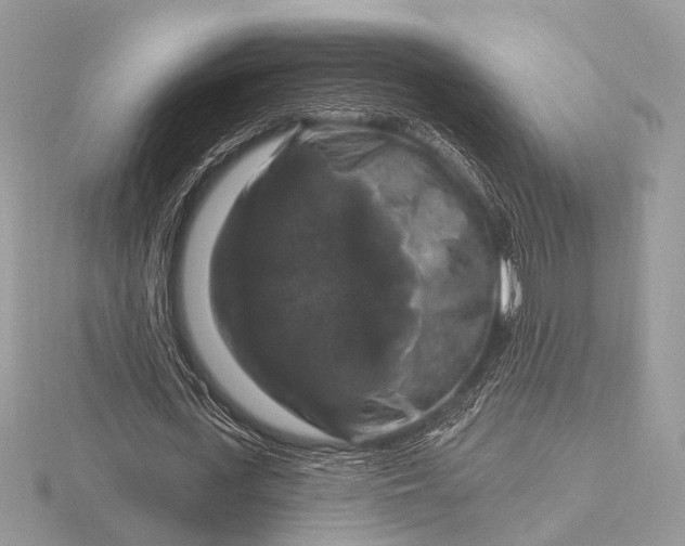 X0000116280723200912141348