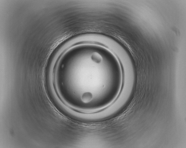 X0000116280725200912141348