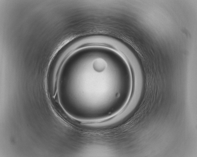 X0000116280726200912141348