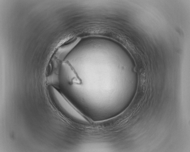 X0000116280727200912141348