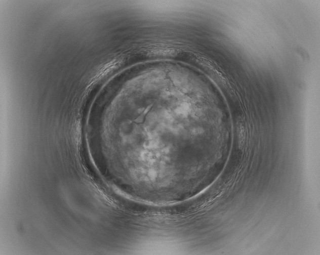 X0000116280729200912141348