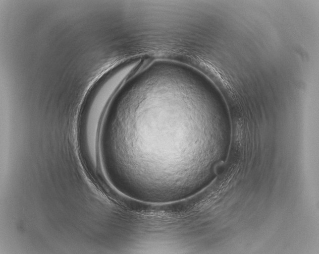 X0000116280730200912141348