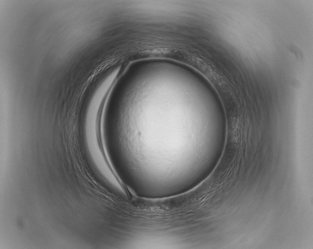 X0000116280731200912141348