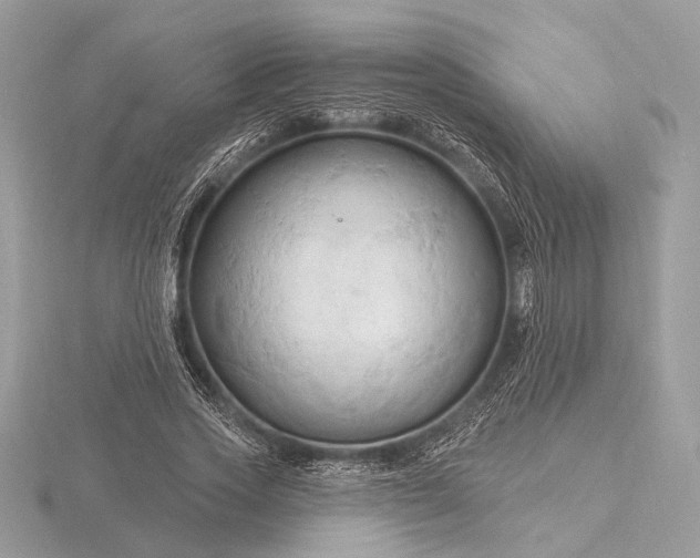 X0000116280733200912141348