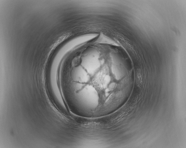 X0000116280734200912141348