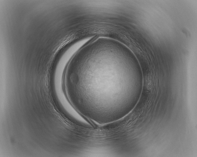 X0000116280735200912141348