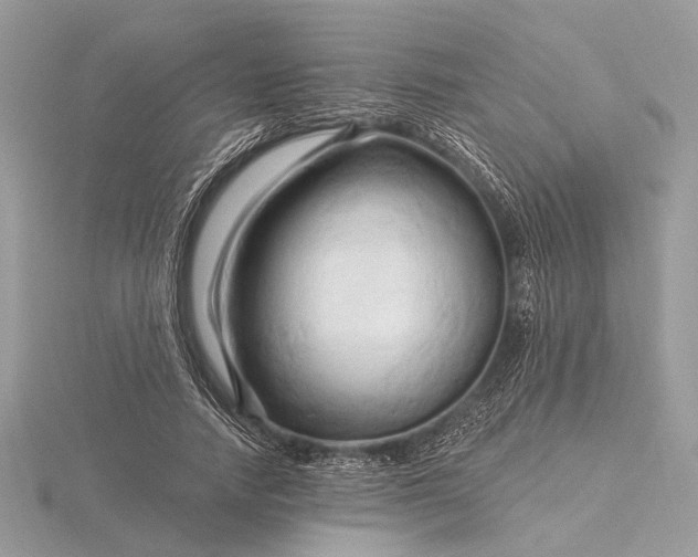 X0000116280738200912141348