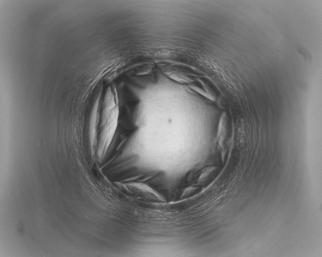 X0000116280739200912141348