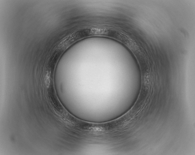 X0000116280741200912141348