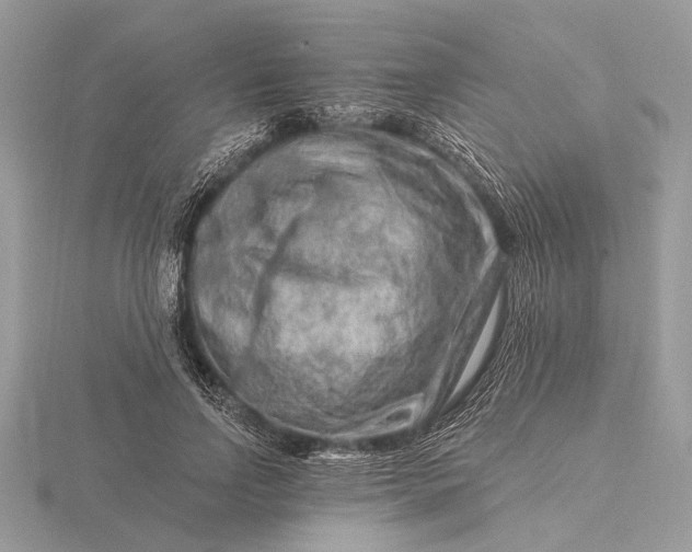 X0000116280742200912141348