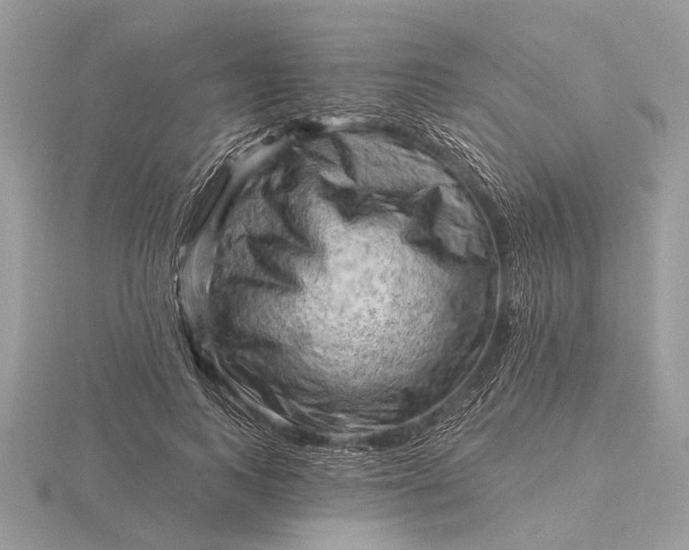 X0000116280743200912141348