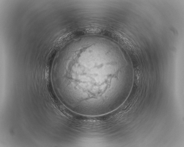 X0000116280745200912141348