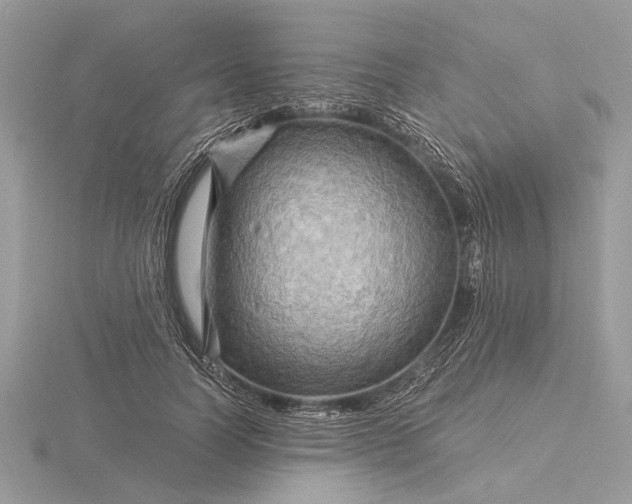 X0000116280746200912141348