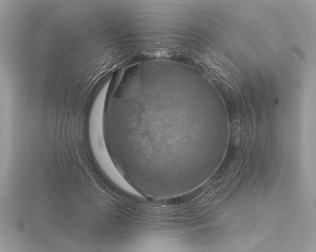 X0000116280747200912141348