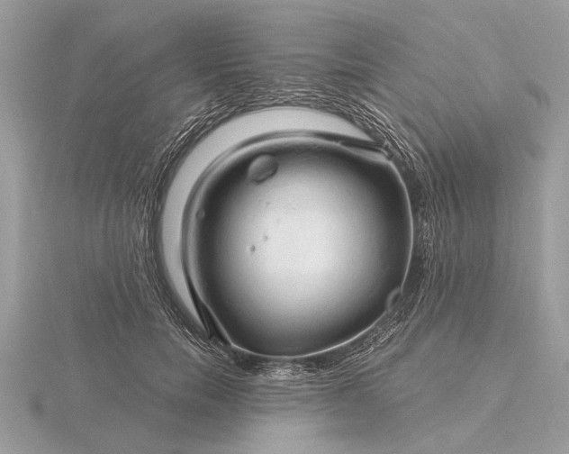 X0000116280750200912141348