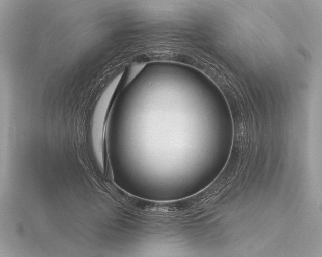 X0000116280751200912141348