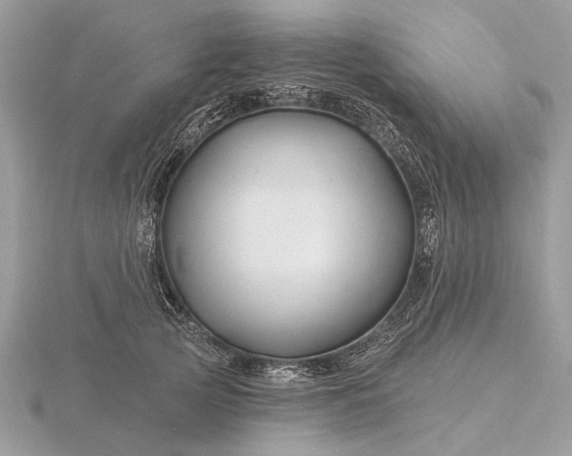 X0000116280753200912141348