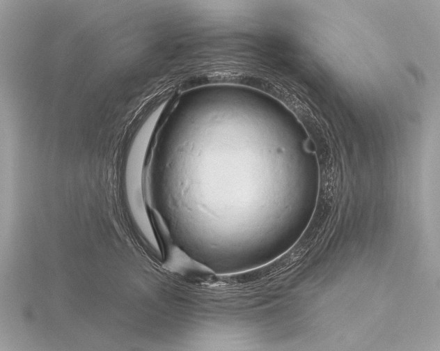 X0000116280755200912141348