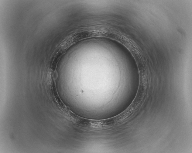 X0000116280757200912141348