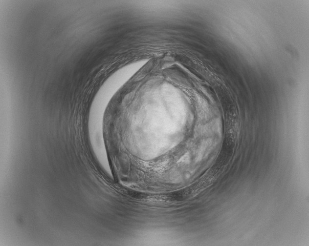 X0000116280758200912141348