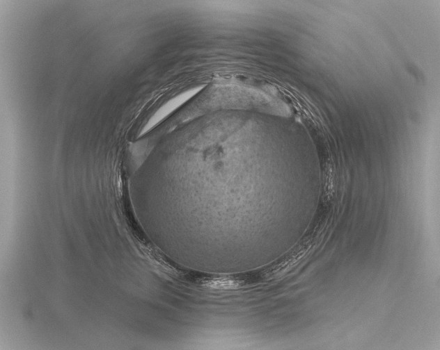 X0000116280759200912141348