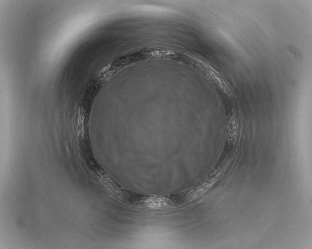 X0000116280762200912141348