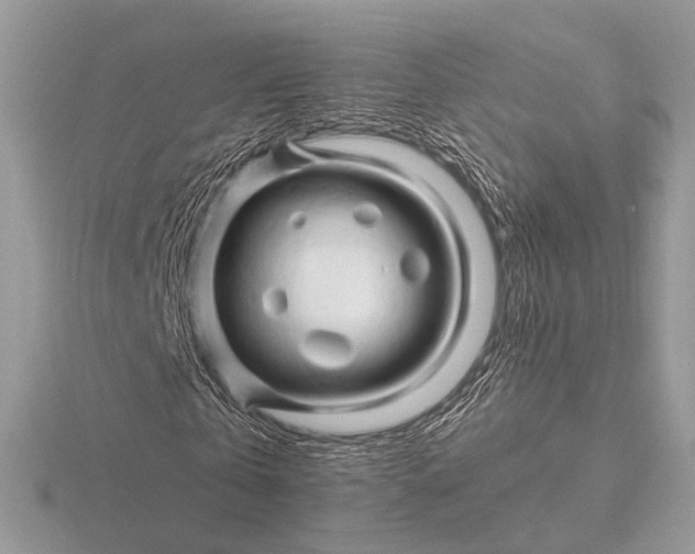 X0000116280769200912141348