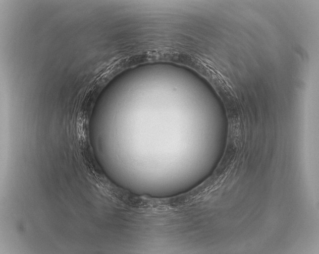 X0000116280770200912141348