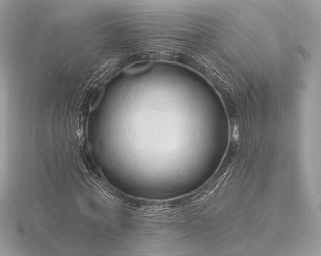 X0000116280771200912141348