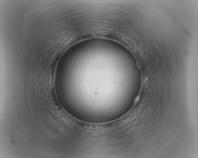 X0000116280772200912141348