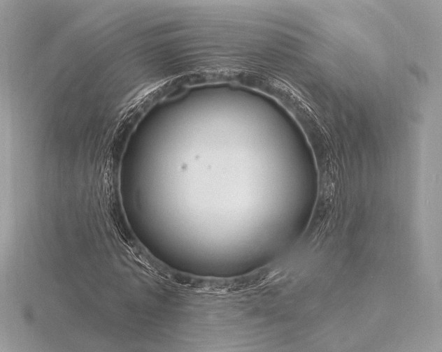 X0000116280773200912141348