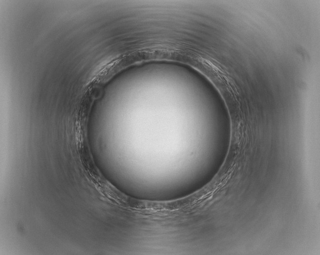 X0000116280774200912141348