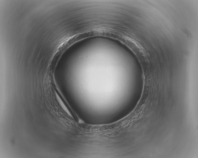 X0000116280776200912141348