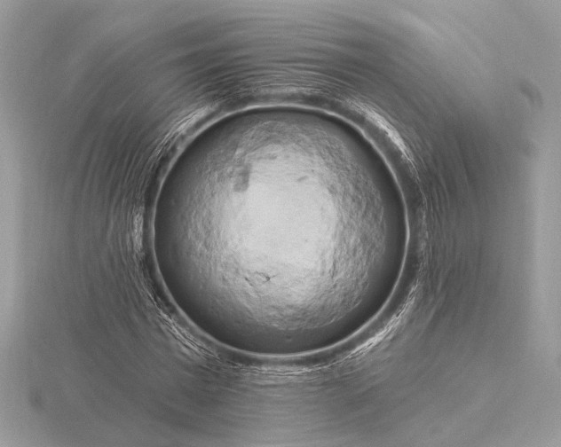 X0000116280777200912141348