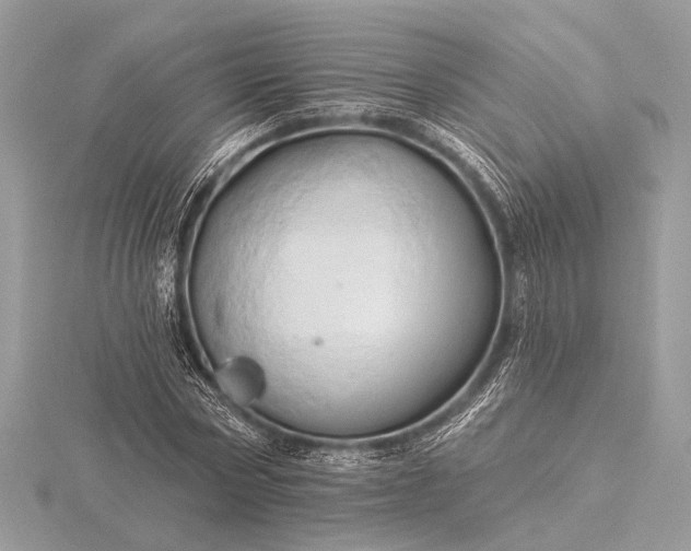 X0000116280778200912141348