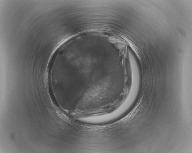 X0000116280779200912141348