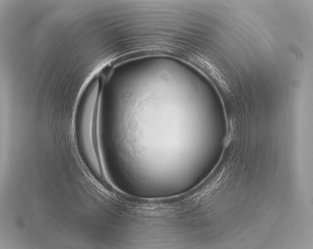 X0000116280780200912141348