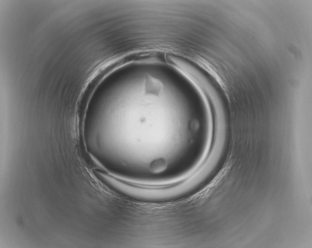 X0000116280781200912141348