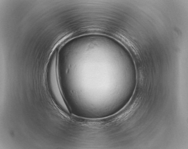 X0000116280782200912141348