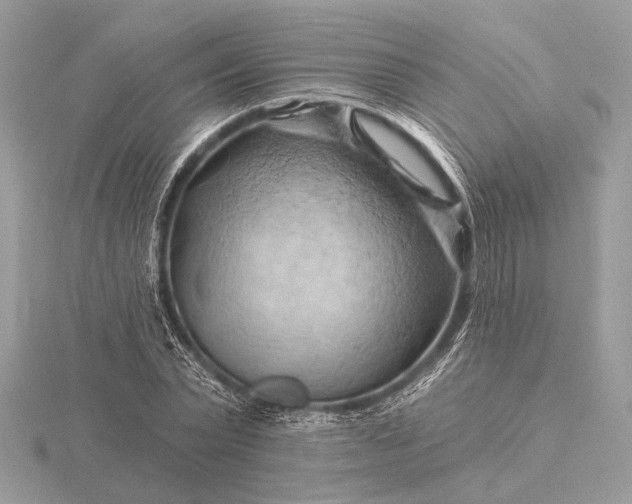 X0000116280783200912141348