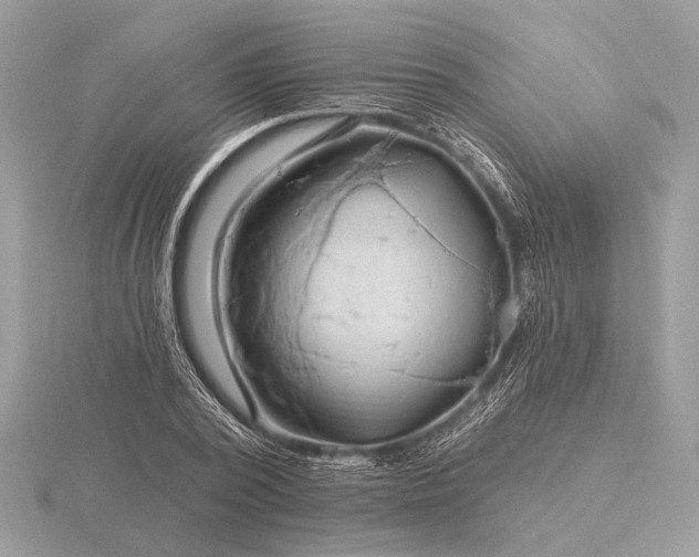 X0000116280784200912141348