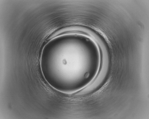 X0000116280785200912141348