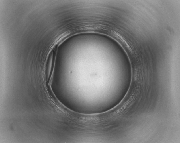 X0000116280786200912141348